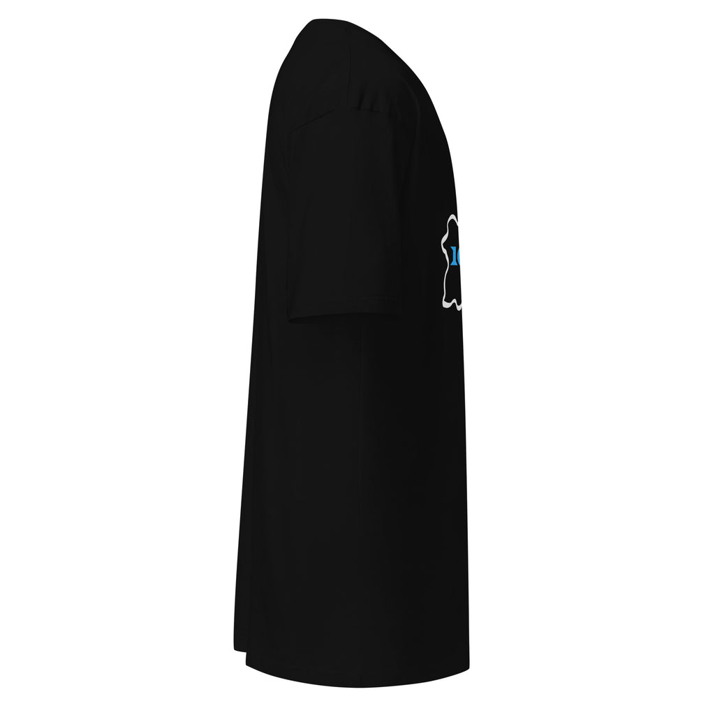 100X35 Puerto Rico- Men’s Premium Heavyweight Tee